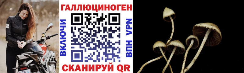 Галлюциногенные грибы MAGIC MUSHROOMS  darknet наркотические препараты  Байкальск 